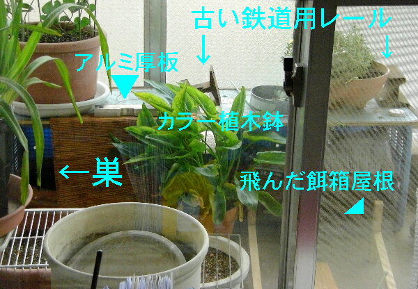 ΍{x_̗lq