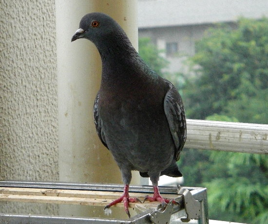 쑤ẻ摜ł