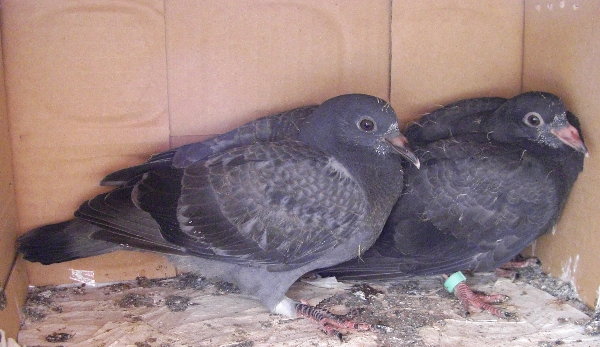 kqĩyẢ摜ł