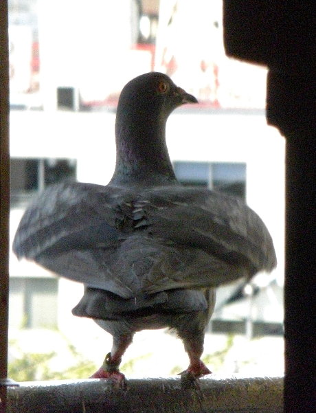 kqi̐ẻ摜ł