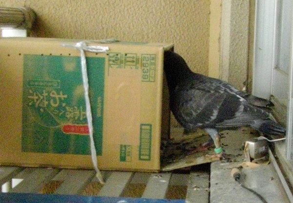 kqỉ摜ł