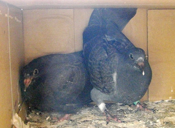 kqỉ摜ł
