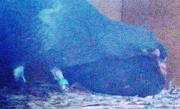 kqi̗lqł