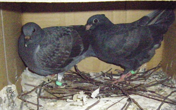 kqỉ摜ł