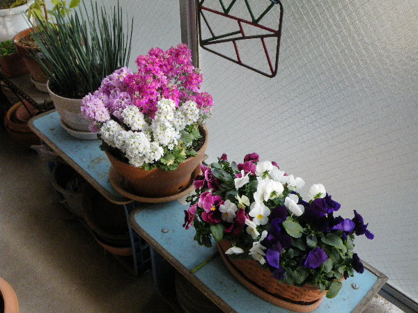 쑤Rei̗lqł
