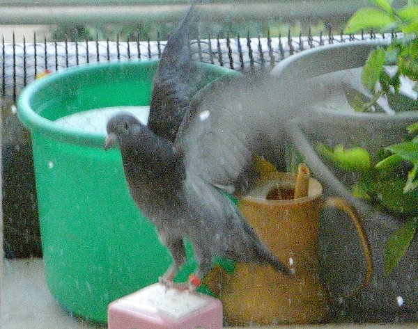 쑤qỉ摜ł
