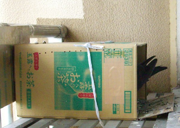 kqỉ摜ł