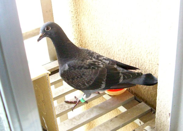 kqỉ摜ł
