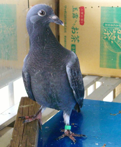 kqỉ摜ł