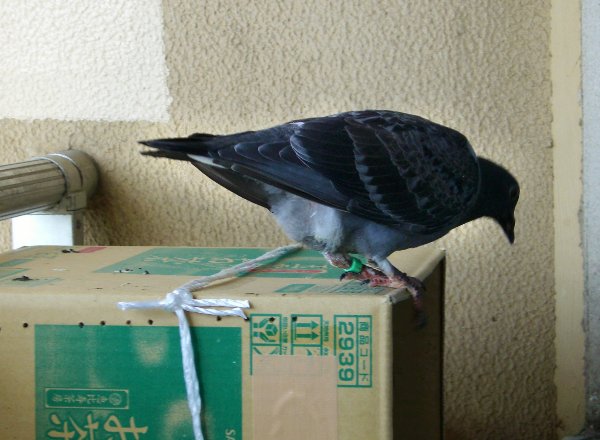 kqỉ摜ł