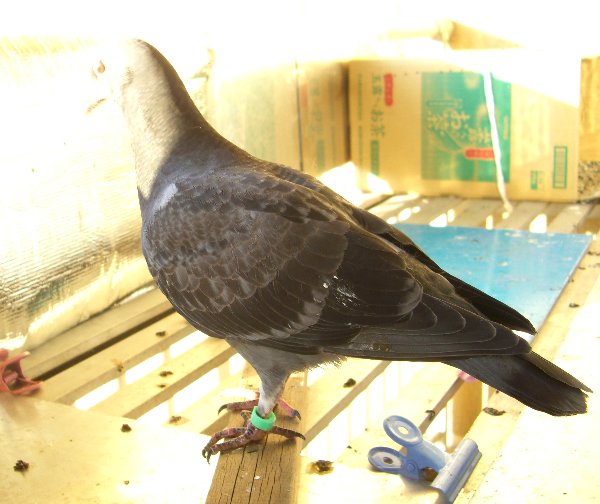 kqỉ摜ł