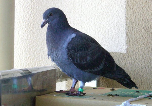 kqỉ摜ł