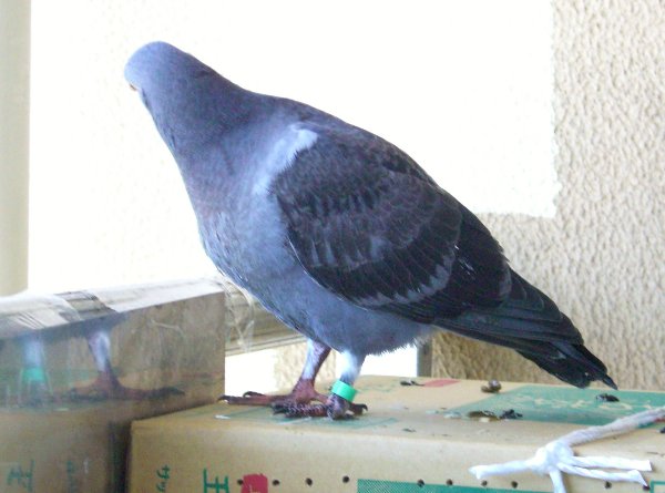 kqỉ摜ł