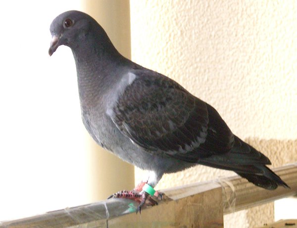 kqỉ摜ł