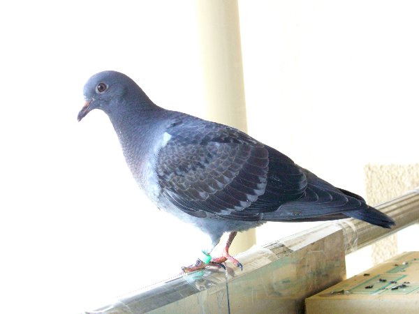 kqỉ摜ł