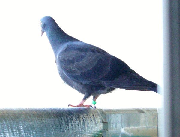 kqỉ摜ł