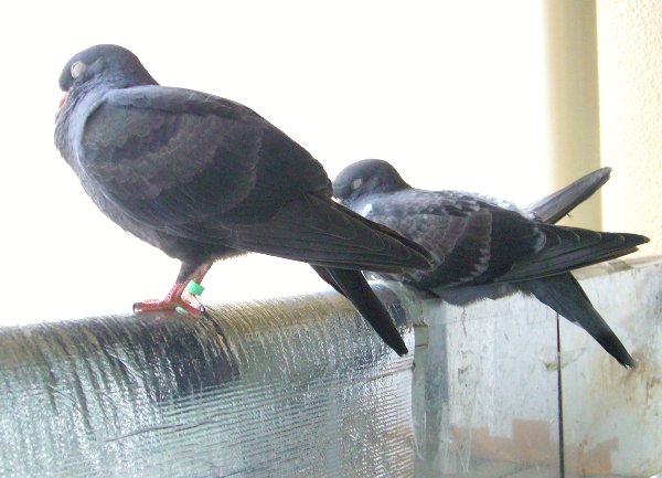 kqỉ摜ł