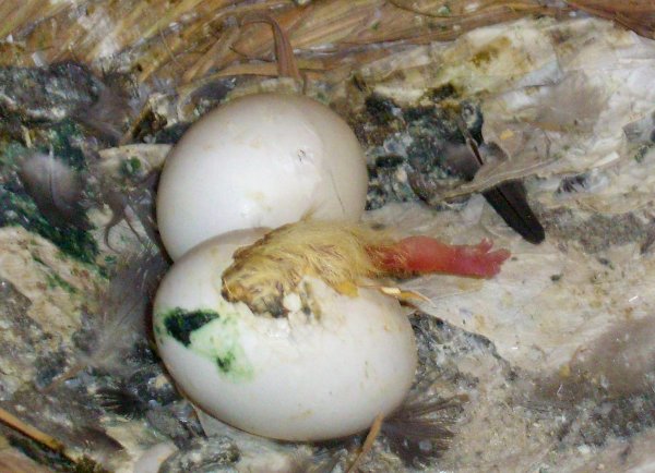 瑫oĂ摜ł