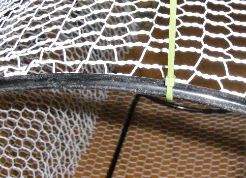 �����o���h�ŋ��Ԃ��~�߂Ă���摜