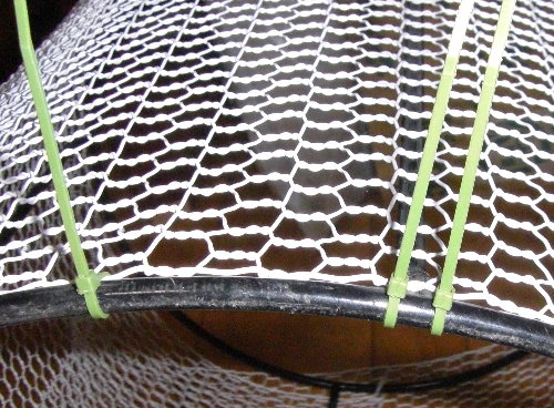 �����o���h�ŋ��Ԃ��~�߂Ă���摜