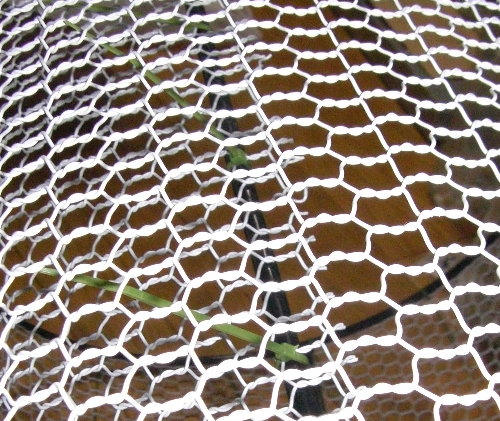 �����o���h�ŋ��Ԃ��~�߂Ă���摜