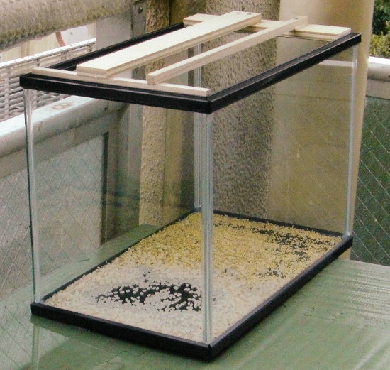 ݒủ摜ł