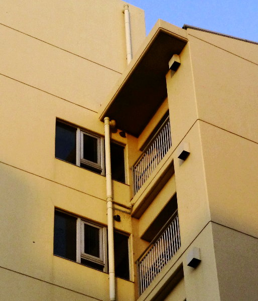 ̉摜ł