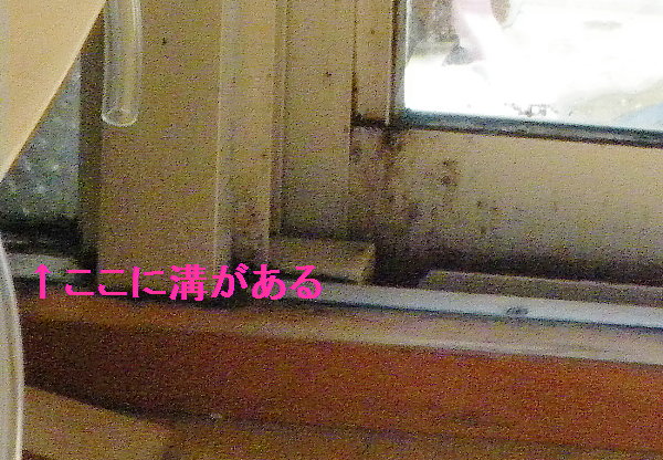 Ƒ̉摜ł
