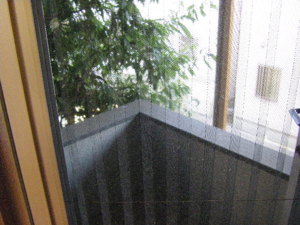 oRj[̉摜ł