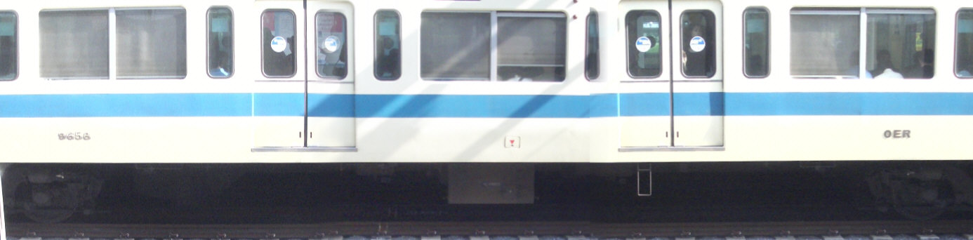 TnXUTOԑȐ摜ł