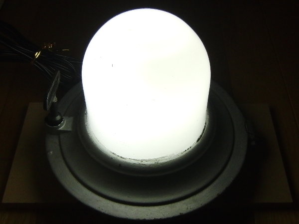 �_���������Ƃ���̉摜�ł�