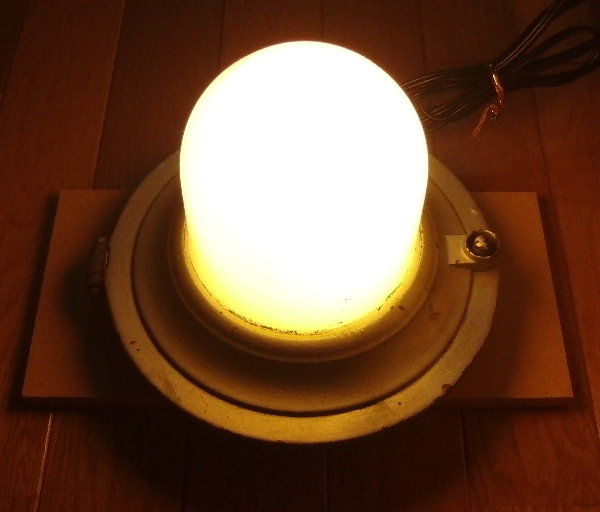 �_���������Ƃ���̉摜�ł�