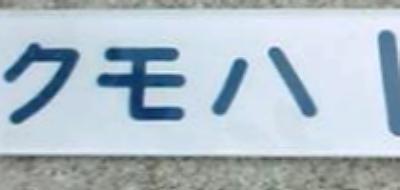 vJԍ̉摜ł