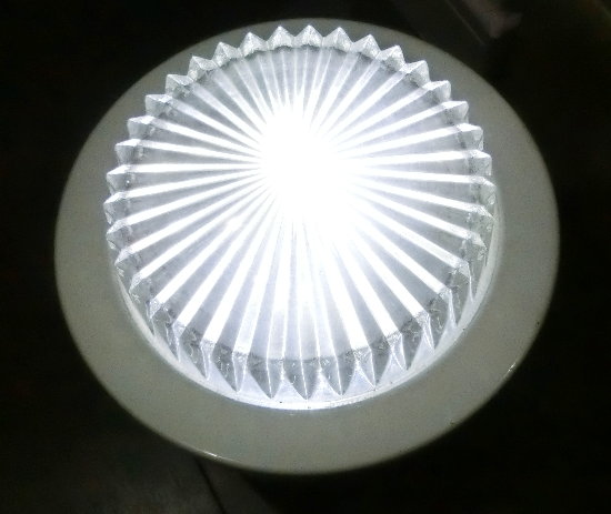 �_���������Ƃ���̉摜�ł�