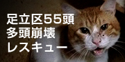 摽󃌃XL[